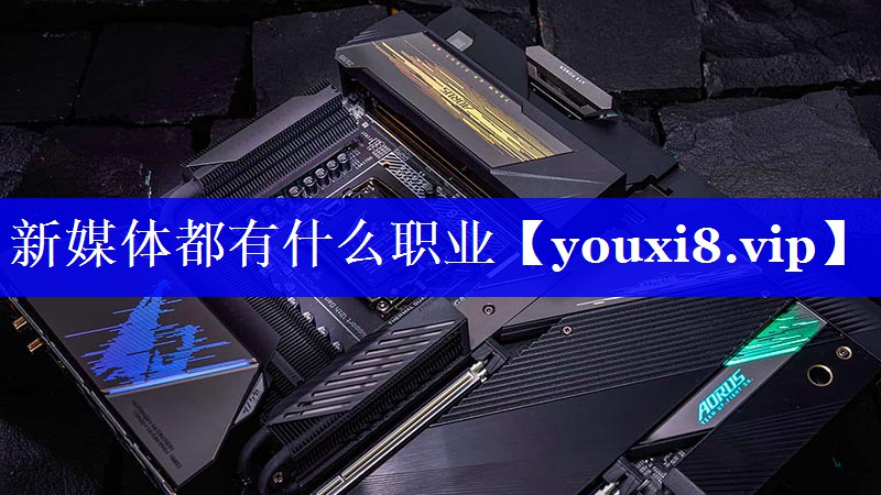 新媒体都有什么职业